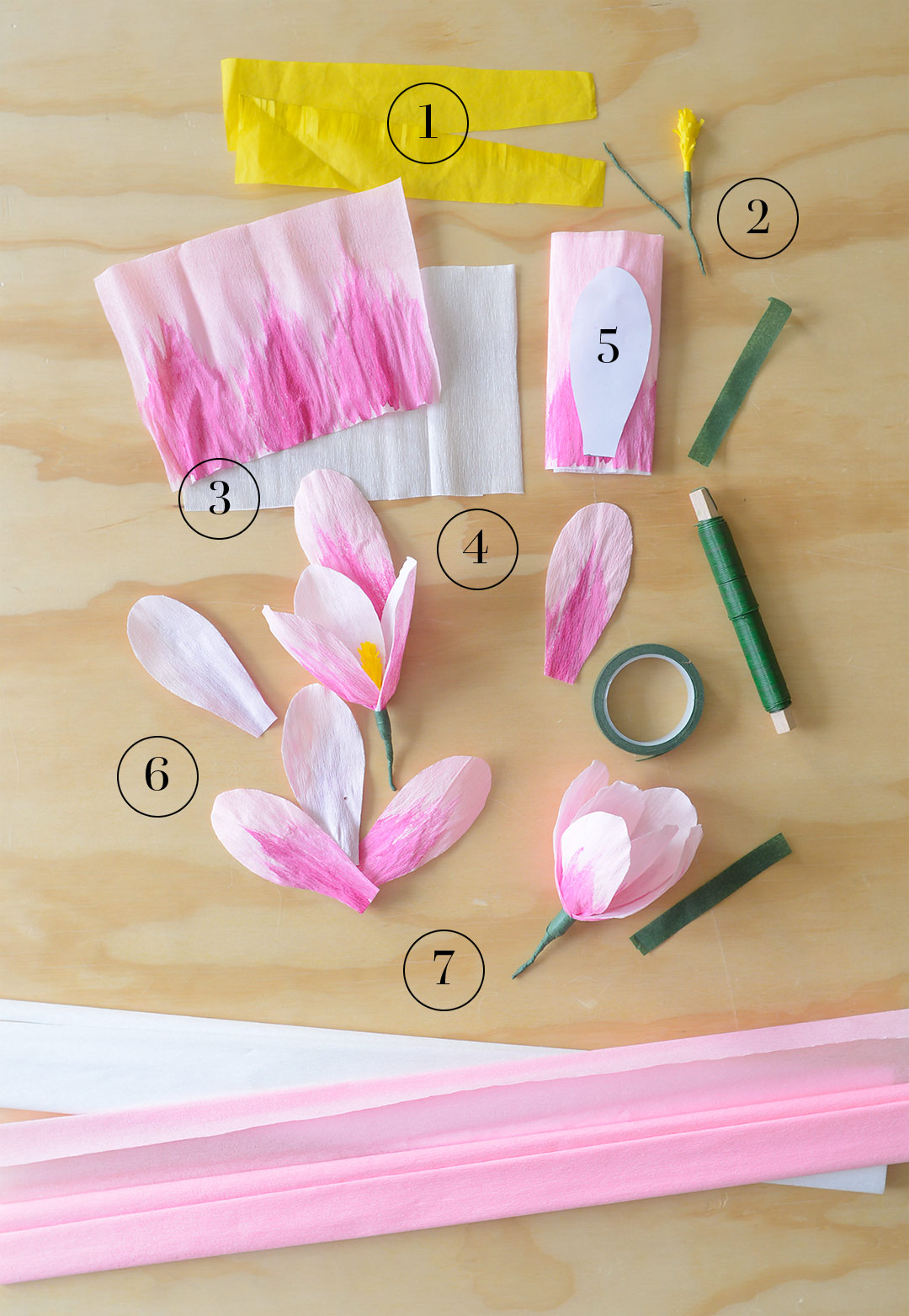 Instructions for paper magnolias